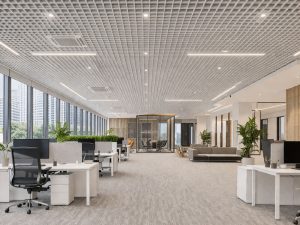 Application- open-metal-celing