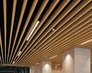 Metal Baffles Application
